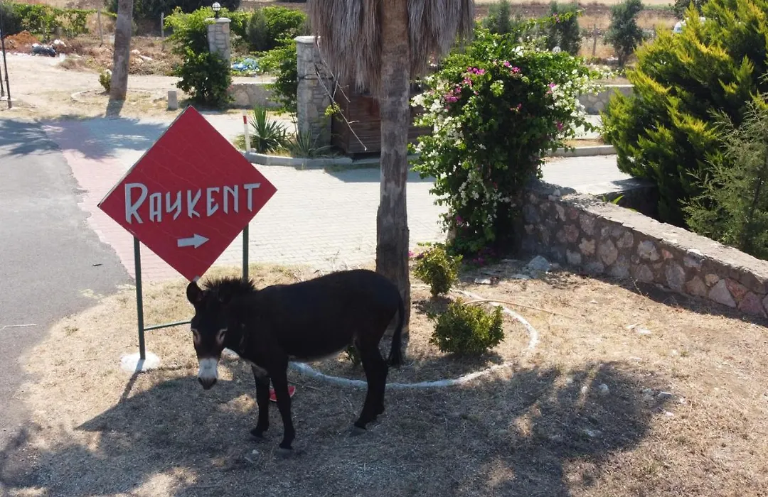 Villa Ernis - Datca Raykent Tatil Sitesi - Kiralik-1